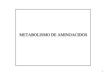 METABOLISMO DE AMINOACIDOS