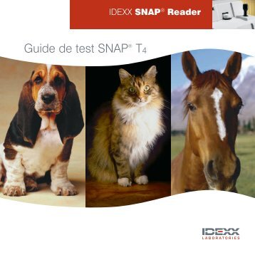 IDEXX SNAP Reader: Guide de test SNAP T4