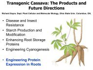 Transgenic Cassava: The Products and Future Directions