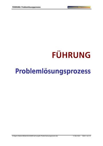 ProblemlÃ¶sungsprozess im Sinne der FÃ¼hrung - Alex Gisin