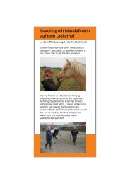 Coaching mit Islandpferden auf dem Laekurhof - Reiterhof und ...