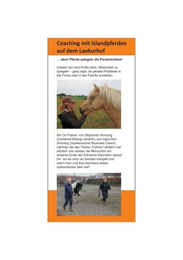 Coaching mit Islandpferden auf dem Laekurhof - Reiterhof und ...