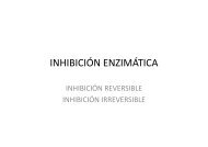 13. Enzimas. Inhibicion enzimatica