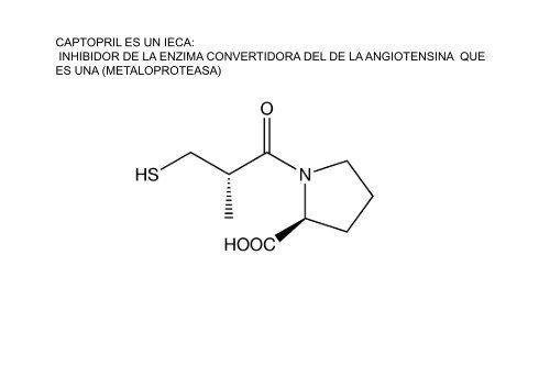 13. Enzimas. Inhibicion enzimatica
