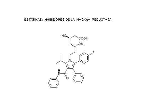 13. Enzimas. Inhibicion enzimatica