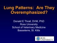 Lung Patterns - Massey University