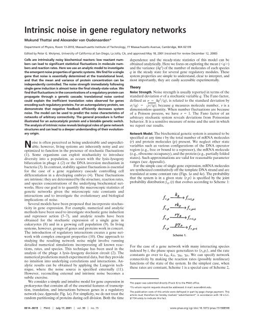 Intrinsic noise in gene regulatory networks