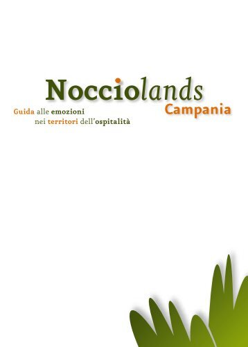 Scarica la Guida in formato pdf - Regione Campania - Assessorato ...