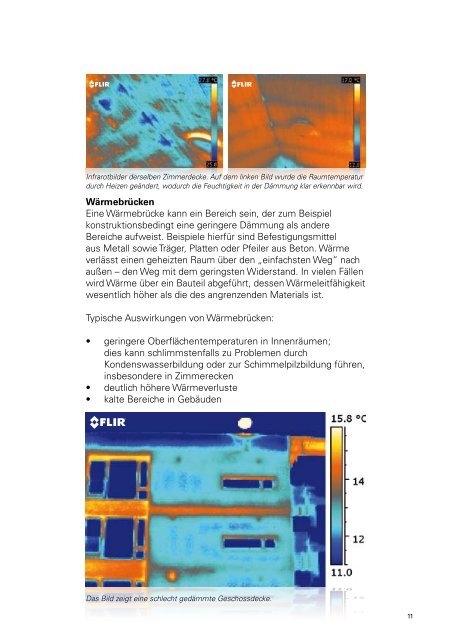 Flir Broschüre - Leitfaden für die Infrarotbaudiagnostik