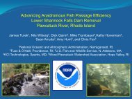 Advancing Anadromous Fish Passage Efficiency Lower Shannock ...