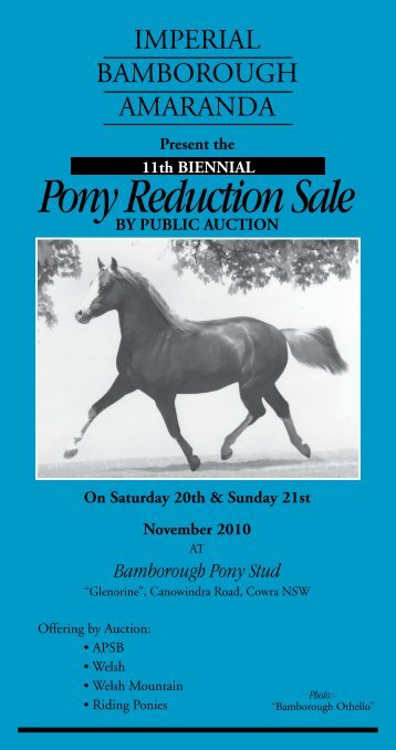 Pony Reduction Sale