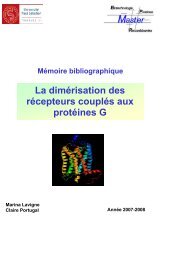 La dimérisation des récepteurs couplés aux protéines G (2008) - M2 ...