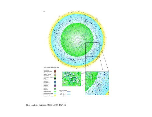 Protein-Protein Interactions, Networks and Pathways - Chagall