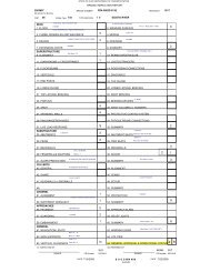 Town Street Bridge Inspection Report