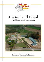 Hacienda El Boyal - Zeit fÃ¼r Pferde