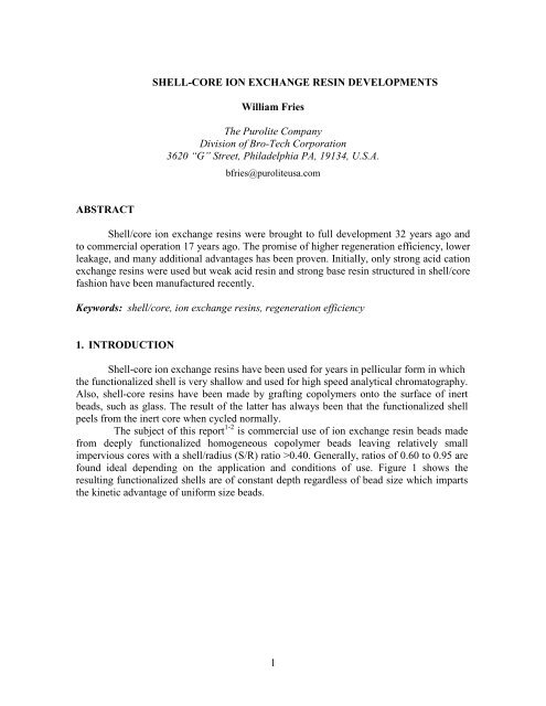 Shell core ion exchange resins - Purolite