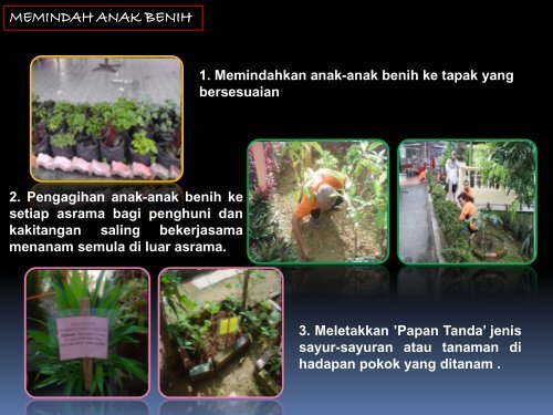 edible garden 2011 - Laman Web Jabatan Kebajikan Masyarakat ...