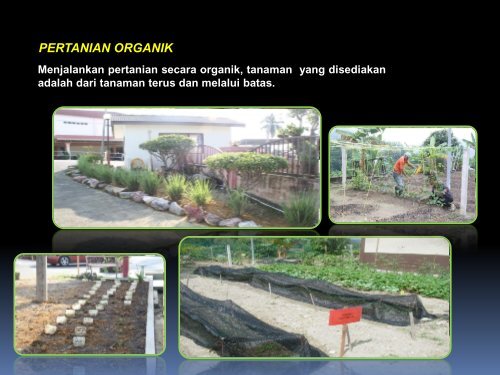 edible garden 2011 - Laman Web Jabatan Kebajikan Masyarakat ...