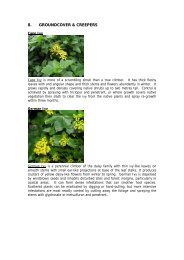 Weed Control Guide - Groundcover and Creepers