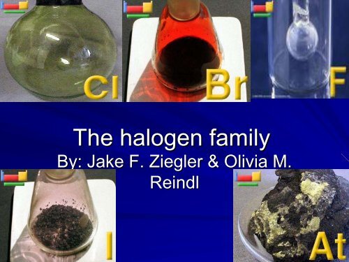 Halogen family - Nichols School