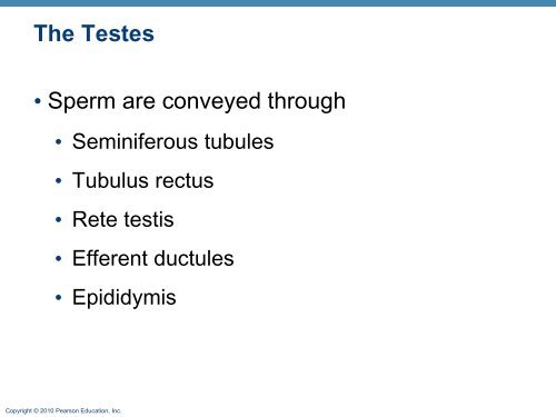 The Reproductive System: Part A - Next2Eden