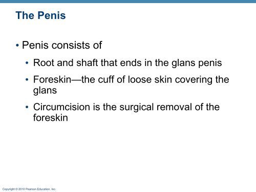 The Reproductive System: Part A - Next2Eden