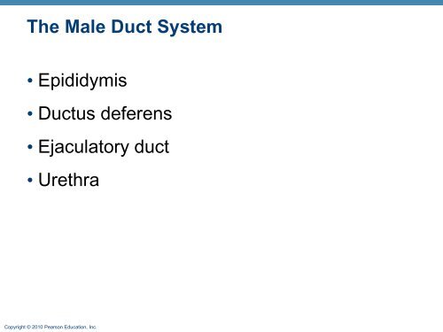 The Reproductive System: Part A - Next2Eden