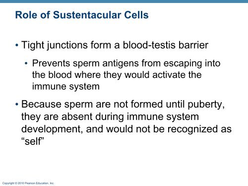 The Reproductive System: Part A - Next2Eden