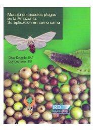 Manejo de insectos plagas en la AmazonÃ­a: - Instituto de ...