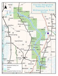 Withlacoochee River South Paddling Trail