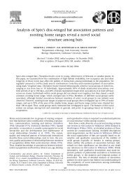 Analysis of Spix's disc-winged bat association patterns and roosting ...