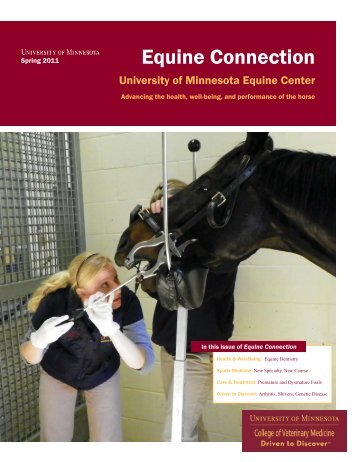 Equine Connection-Spring 2011 - University of Minnesota College ...