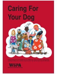 Care For Your Dog - WSPA