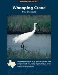 Print Coastal Wetlands Species Fact Sheet Set - The State of Water