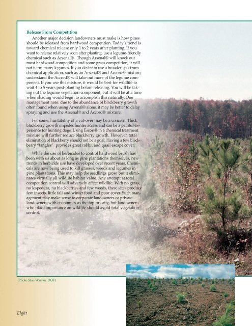 Managing Pines for Profit and Wildlife - Virginia Department of ...