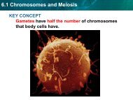 6.1 Chromosomes and Meiosis