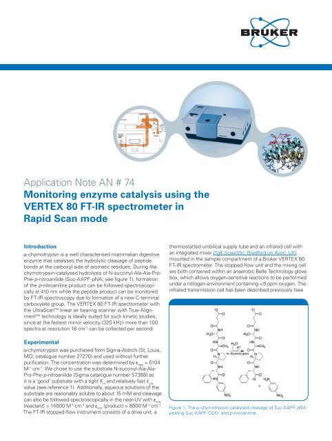 Monitoring enzyme catalysis using the VERTEX 80 FT-IR ... - Bruker