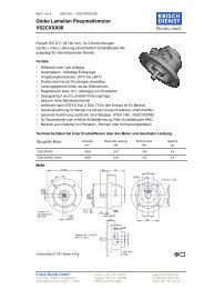 Globe Lamellen Pneumatikmotor VS2CXXX00 - Krisch Dienst GmbH