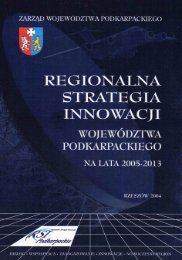 Regionalna Strategia Innowacji WojewÃ³dztwa Podkarpackiego