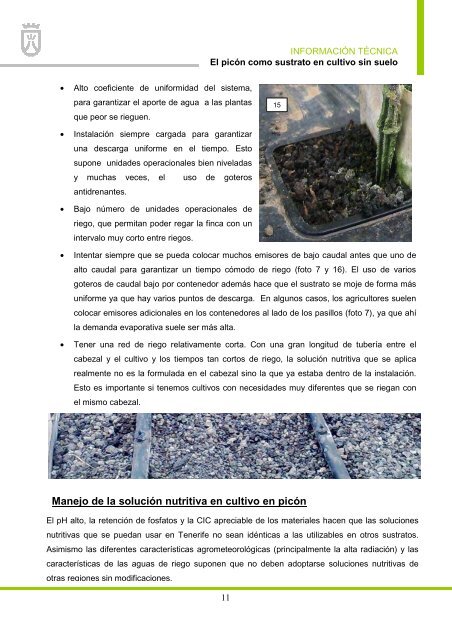 Descargar PDF - AgroCabildo