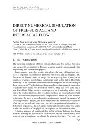 direct numerical simulation of free-surface and interfacial flow