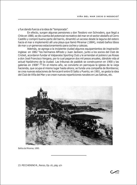 ViÃ±a del Mar Â¿Ocio o negocio? - ARPA