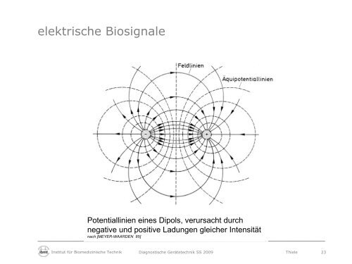 Diagnostische Gerätetechnik - Fakultät Elektrotechnik und ...