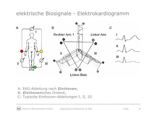 Diagnostische Gerätetechnik - Fakultät Elektrotechnik und ...