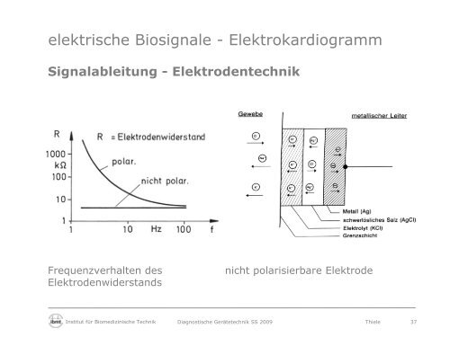 Diagnostische Gerätetechnik - Fakultät Elektrotechnik und ...