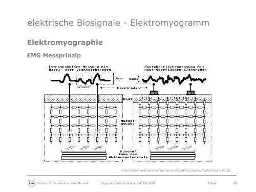 Diagnostische Gerätetechnik - Fakultät Elektrotechnik und ...