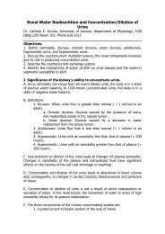 Renal Water Reabsorbtion and Concentration/Dilution of Urine