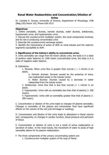 Renal Water Reabsorbtion and Concentration/Dilution of Urine