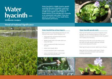 Water hyacinth awareness and identification flyer - Weeds Australia