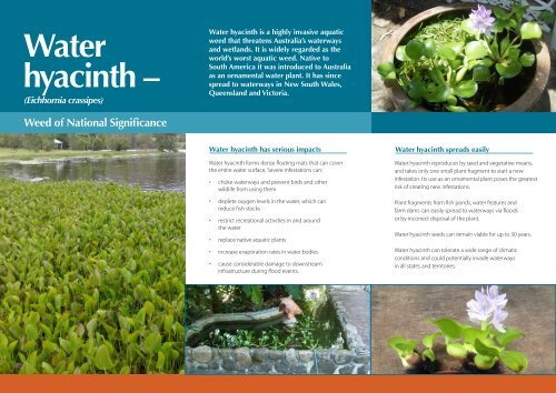 Water hyacinth awareness and identification flyer - Weeds Australia